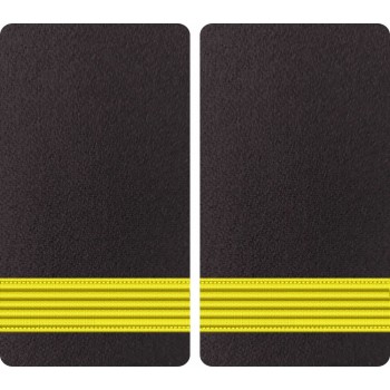 GRADE MAISTRU MILITAR 5 - FORTE NAVALE